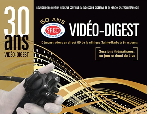 Video-digest