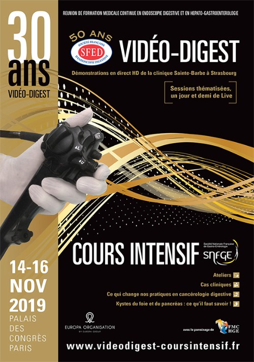 Videodigest